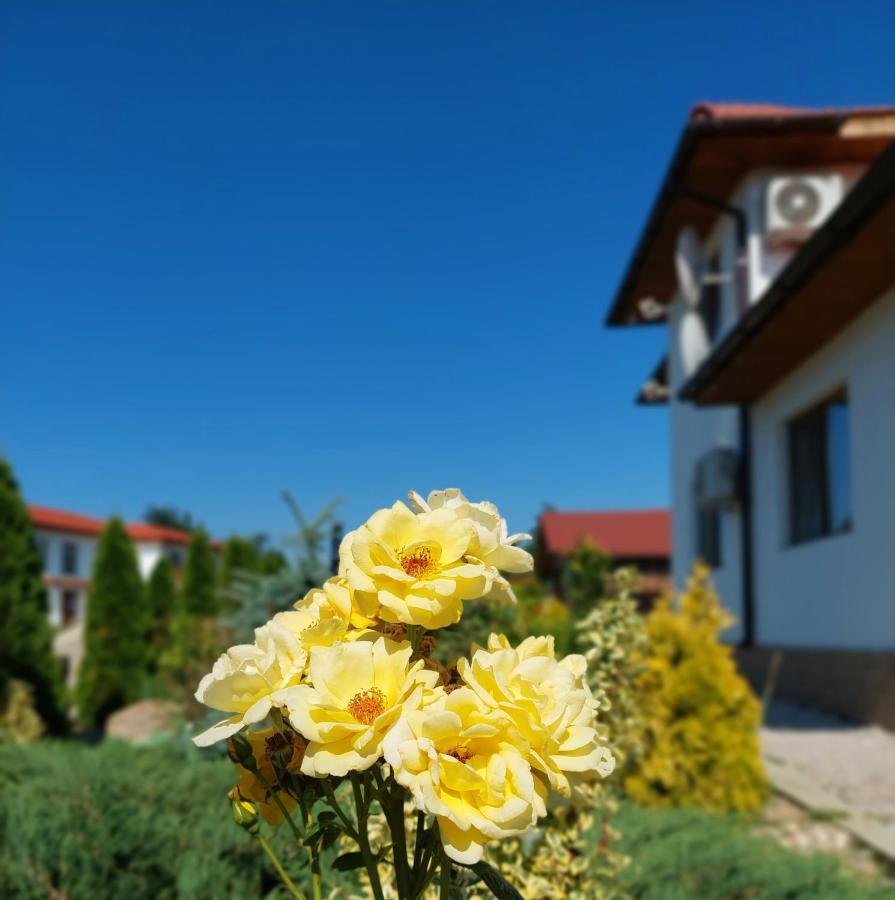 Pensiunea Paradiso Sarinasuf Exteriér fotografie