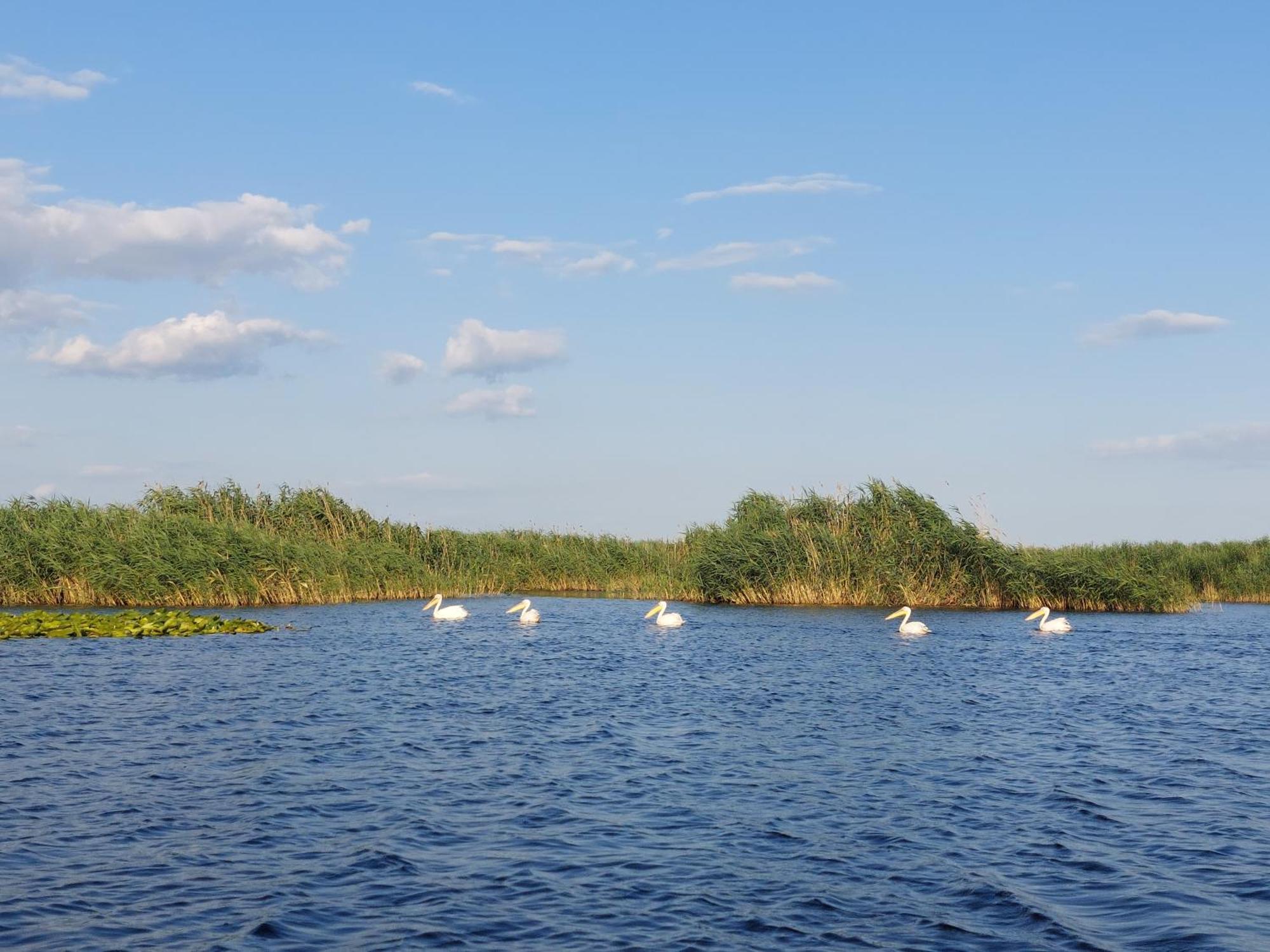 Pensiunea Paradiso Sarinasuf Exteriér fotografie
