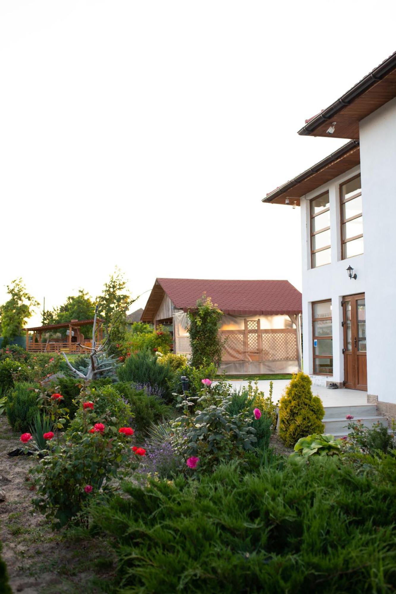Pensiunea Paradiso Sarinasuf Exteriér fotografie